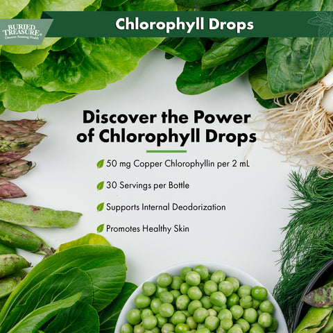 Chlorophyll Drops – Liquid Herbal Supplement with 50mg per Serving