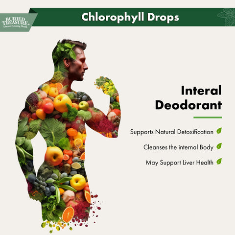 Chlorophyll Drops – Liquid Herbal Supplement with 50mg per Serving