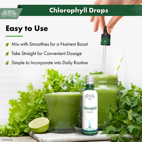 Chlorophyll Drops – Liquid Herbal Supplement with 50mg per Serving