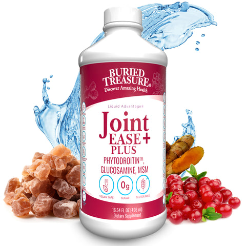 Joint Ease Plus – with Glucosamine, Chondroitin, MSM, and Turmeric, 16 fl oz