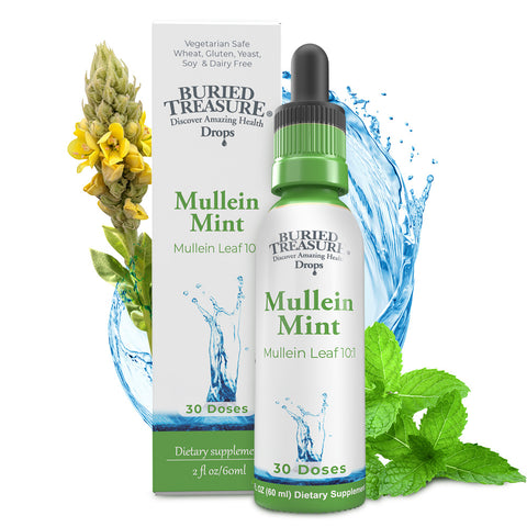 2oz Mullein Mint Drops – Mint-Flavored Herbal Blend with 200mg 10:1 Extract, Alcohol-Free