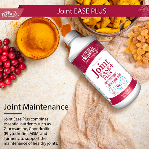 Joint Ease Plus – with Glucosamine, Chondroitin, MSM, and Turmeric, 16 fl oz