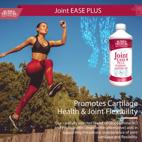 Joint Ease Plus – with Glucosamine, Chondroitin, MSM, and Turmeric, 16 fl oz