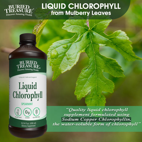 Liquid Chlorophyll – 100 mg Chlorophyll per Serving, 16 Servings