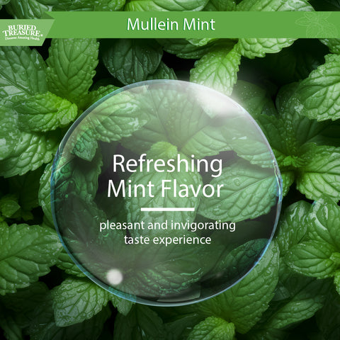 2oz Mullein Mint Drops – Mint-Flavored Herbal Blend with 200mg 10:1 Extract, Alcohol-Free