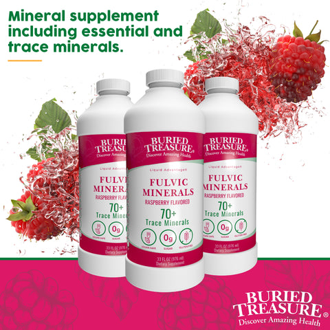 Fulvic Acid Minerals Complex –Natural Raspberry Flavor, 32 Servings