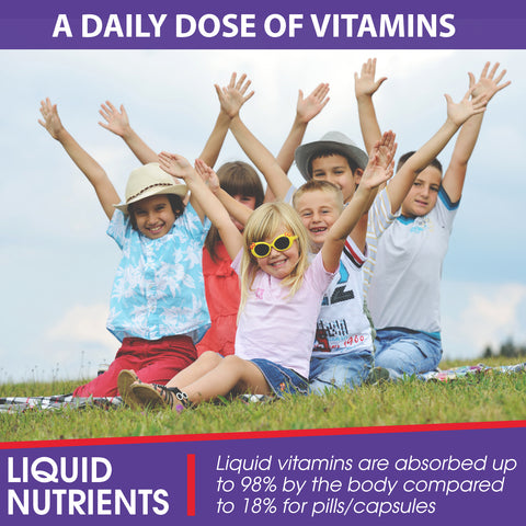 Children's Daily Liquid Multivitamin, Vitamins & Minerals, Natural Fruit Flavors, 16 servings